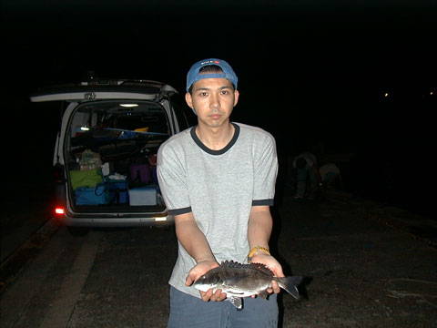 SgaAӐg1I