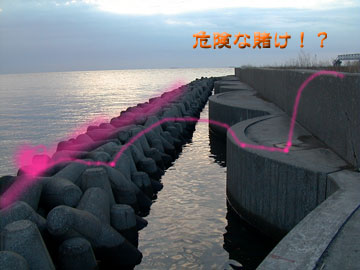ǂq͐^Ⴞ߂```I